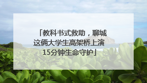 教科书式救助，聊城这俩大学生高架桥上演15分钟生命守护